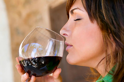 Basic guide to wine tasting